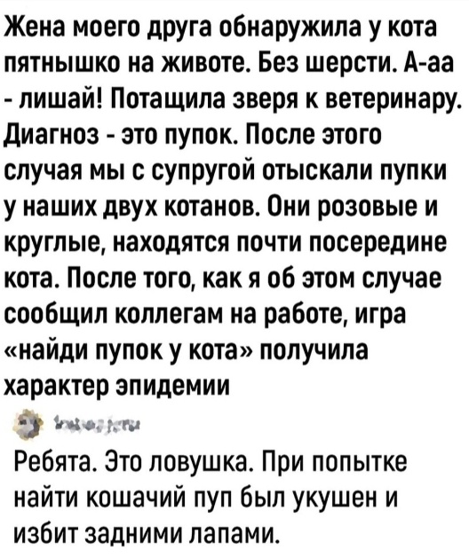 Нуштош 30.04.2024