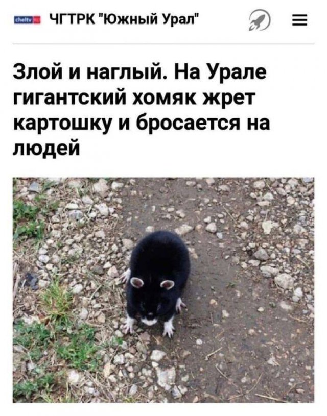 19226789.jpg