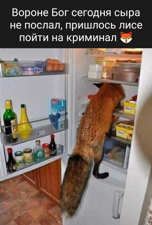 Так себе картинки 10.07.24