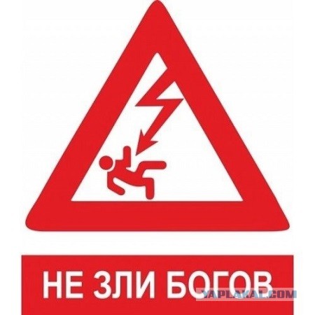 В России хотят ужесточить условия разведения кур и гусей