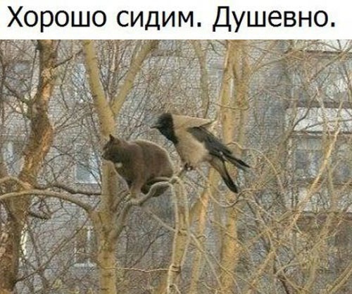 Так себе картинки 08.11.24