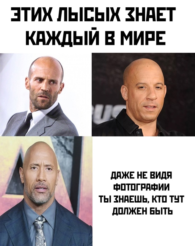 Весёлый полтишок 11.11.24