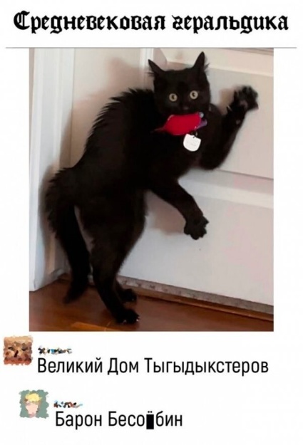 Так себе картинки 08.12.24