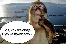 Ждете ли вы возвращения сбежавших брендов?