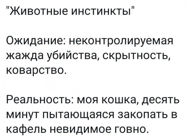 Всего понемногу. От 27.02.2025