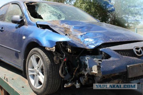 Слуга народа хотел спрятать труп.