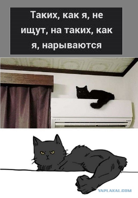 Ну и по традиции