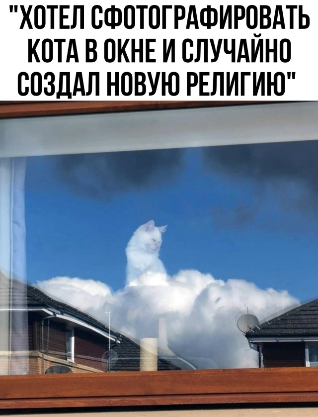 Одна девочка не любила молочную пенку...