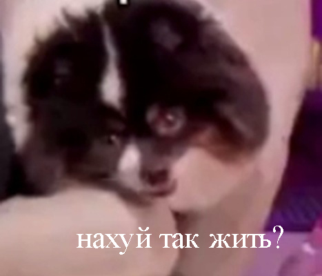 За подарки - Да!