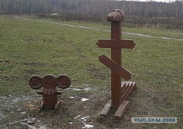 Картинки для деградации 105 (разной степени свежести)