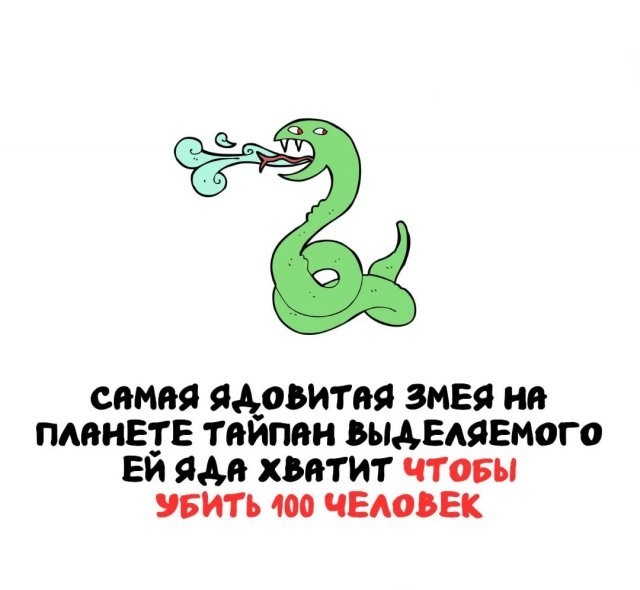 Интересные и короткие факты на все случаи жизни 05.01.26