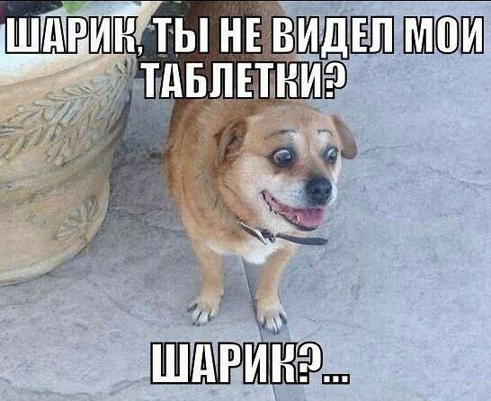 Ужас и Адъ