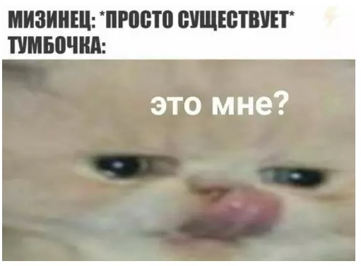 Картиночки, баянчики 28 марта
