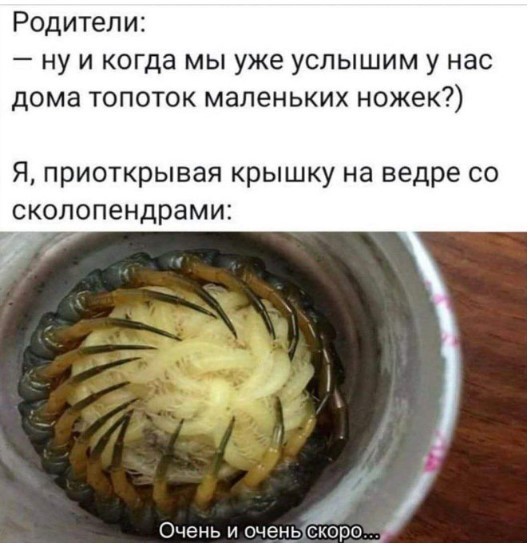 Картиночки, баянчики 03 апреля