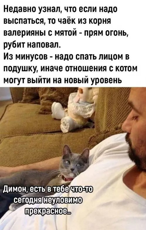 Картинки для деградации 229 (разной степени свежести)