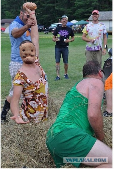 Мой друг нашел картошку!