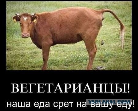 Страшный сон вегана