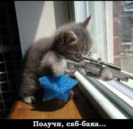 Ужас в Ульяновске