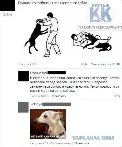 Смешные комментарии из социальных сетей