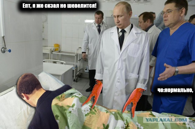 Под одеялом.Фотожаба.