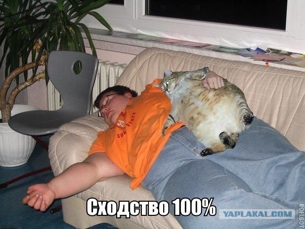 Не про олимпиаду