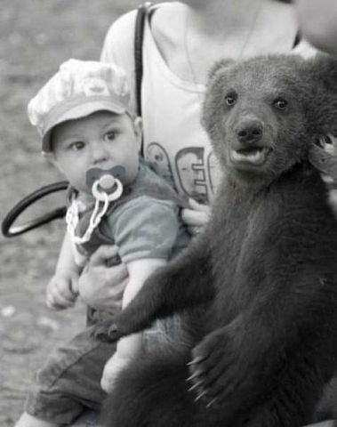 Подборка забавных и курьезных фотографий