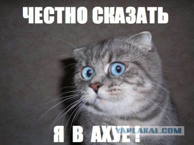 Как я стал домашним гинекологом