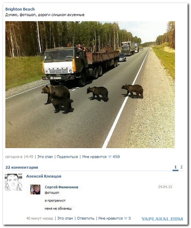 Позитивные картинки и комментарии.