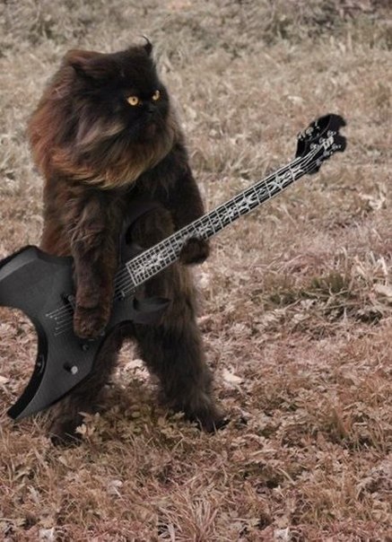 Одни из самых красивых обложек heavy metal !