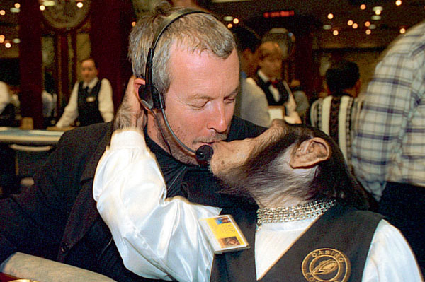 Святогорск: «Непрогнувшийся» Макаревич