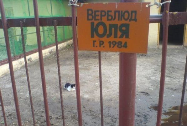 Поднимаем настроение