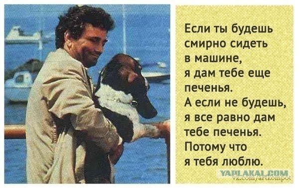 Бассет Хаунд