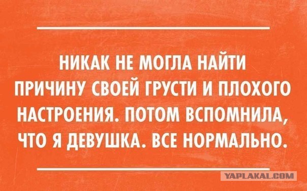 Весёлое из сети