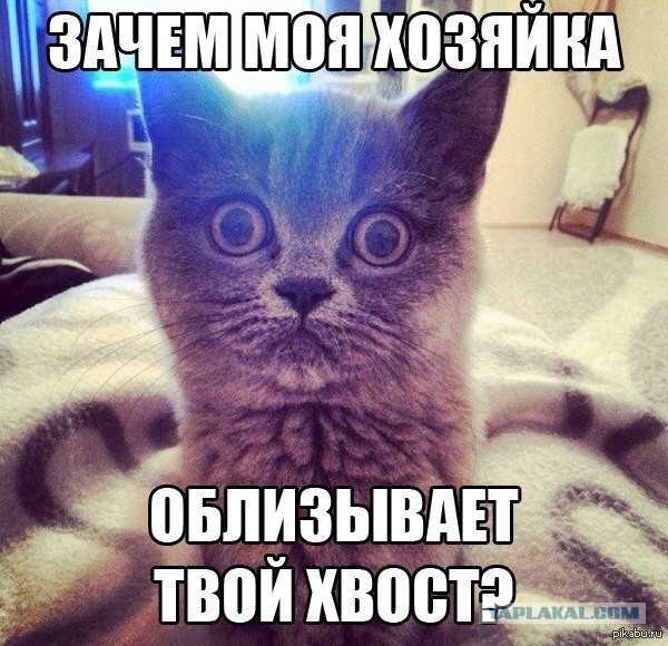 Секс при свидетелях
