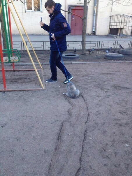 Пятничная подборка