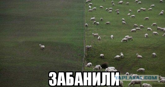 Картинки разные