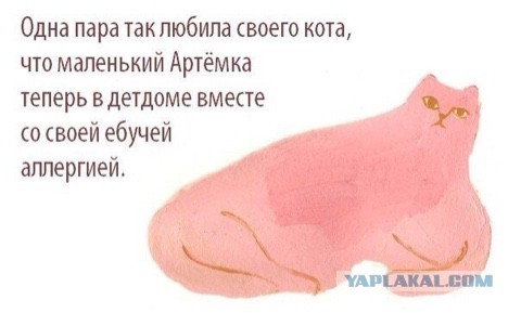 Котовторнику посвящается.