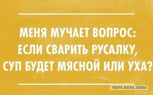 Прикольные картинки из сети