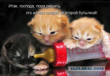 Когда кто-то плюсует твой заминусованый пост