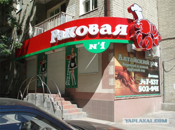 Решили мы как-то попить Пыва с раками!