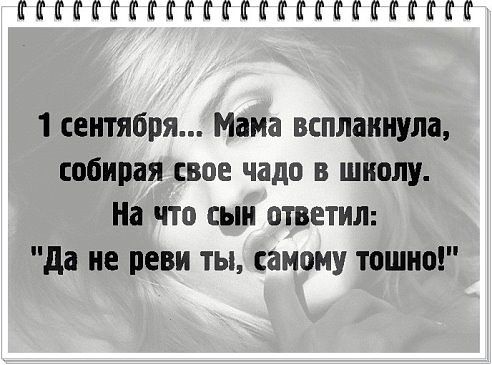 Весёлые картинки