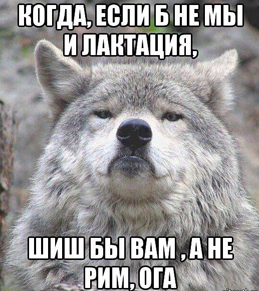 Придет серенький волчок