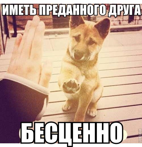 Картинки и прочее