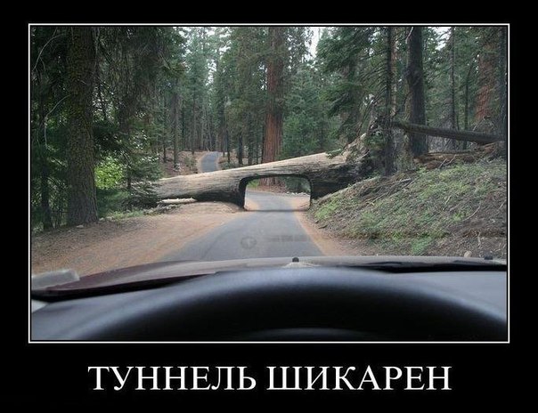 Подборка прикольных фото на пятницу