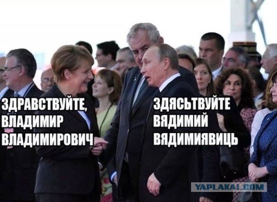 Фото которое сделало мой вечер.