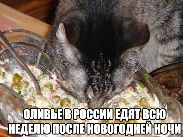 Картинки на утро вторника