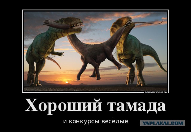 Тамада и конкурсы интересные мем