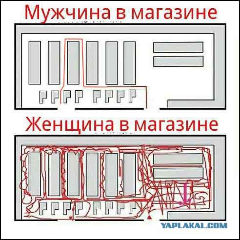 Женская логика. Мифы и реальность.