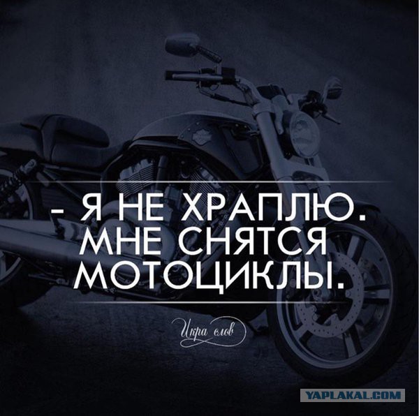 Смешные комментарии 31.01.2016