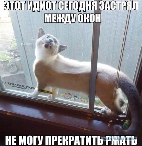 Картинки из ваших этих итернетов...2